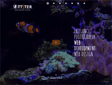 Tablet Screenshot of ottster.com